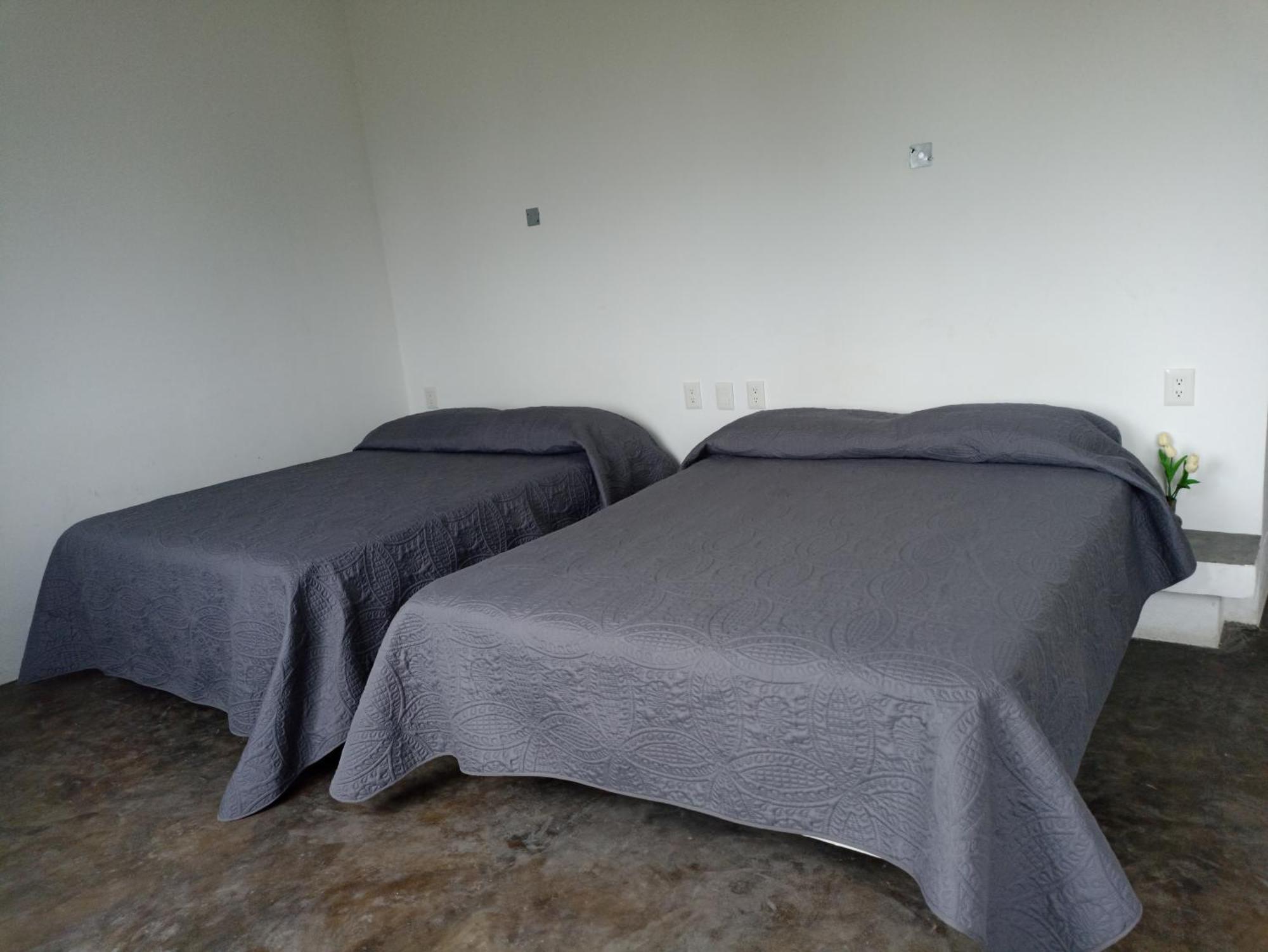 Don Pedrillo Hotel Oaxaca ภายนอก รูปภาพ