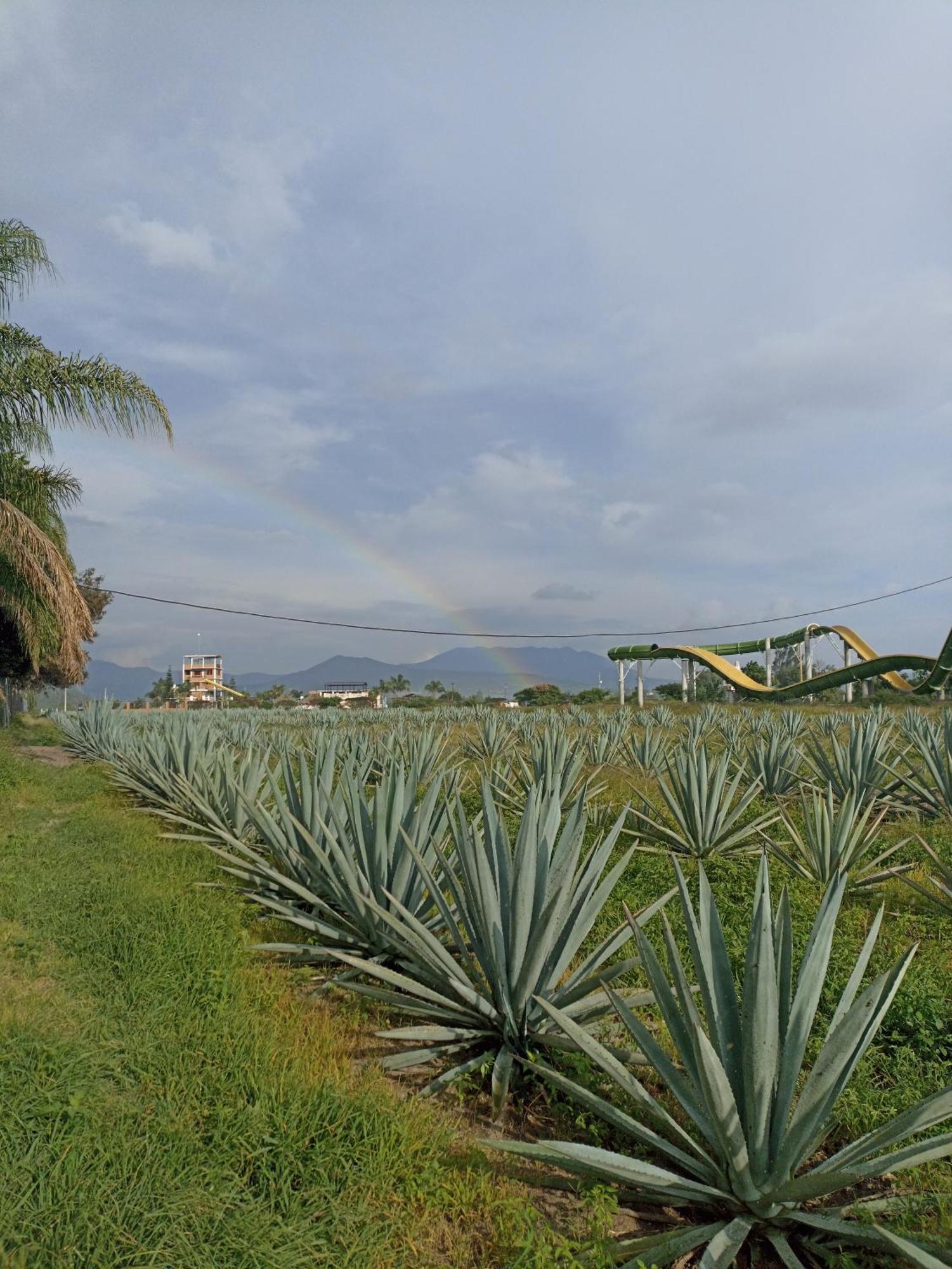 Don Pedrillo Hotel Oaxaca ภายนอก รูปภาพ